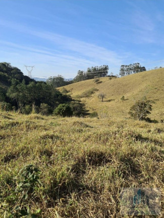 Imagem Chácara com 2 Quartos à Venda, 14.000 m² em Centro - Igaratá