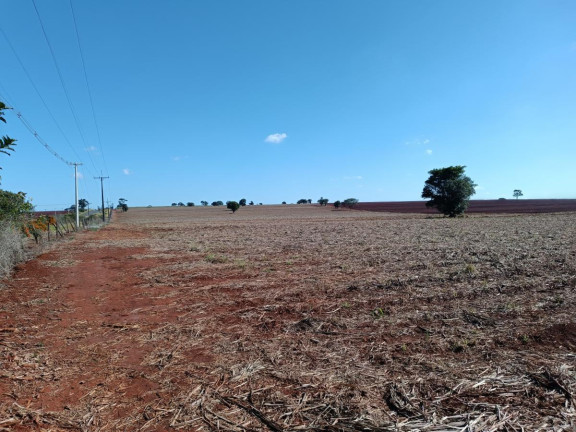 Imagem Chácara à Venda, 29 m² em Rural - Avaré