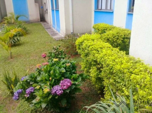 Imagem Apartamento com 2 Quartos à Venda, 48 m² em Conjunto Residencial Trinta E Um De Março - São José Dos Campos Imagem Apartamento com 2 Quartos à Venda, 48 m² em Conjunto Residencial Trinta E Um De Março - São José Dos Campos