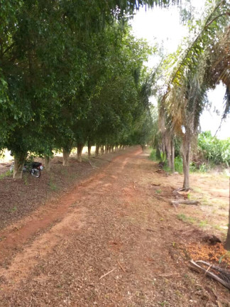 Imagem Fazenda à Venda, 60 m² em Piumhi Imagem Fazenda à Venda, 60 m² em Piumhi