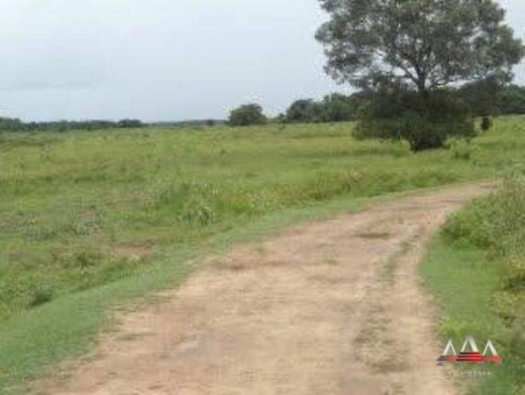 Imagem Fazenda à Venda, 92 m² em Zona Rural De Poconé - Poconé Imagem Fazenda à Venda, 92 m² em Zona Rural De Poconé - Poconé