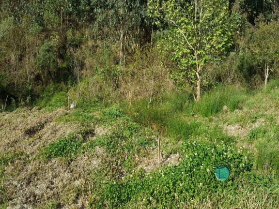 Imagem Imóvel com 2 Quartos à Venda, 50.000 m² em Zona Rural - Alfredo Wagner Imagem Imóvel com 2 Quartos à Venda, 50.000 m² em Zona Rural - Alfredo Wagner