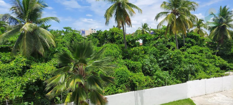 Imagem Apartamento com 3 Quartos para Alugar, 87 m² em Piedade - Jaboatão Dos Guararapes Imagem Apartamento com 3 Quartos para Alugar, 87 m² em Piedade - Jaboatão Dos Guararapes