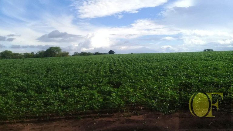 Imagem Fazenda à Venda, 75 m² em Rural - Paranapanema Imagem Fazenda à Venda, 75 m² em Rural - Paranapanema