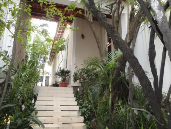 Imagem Casa com 3 Quartos à Venda, 220 m² em Vila Mariana - São Paulo