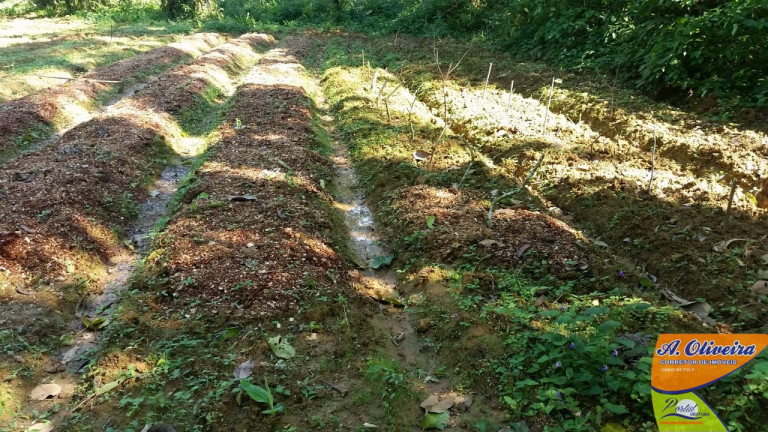 Imagem Terreno à Venda, 56.000 m² em Ubatumirim - Ubatuba Imagem Terreno à Venda, 56.000 m² em Ubatumirim - Ubatuba