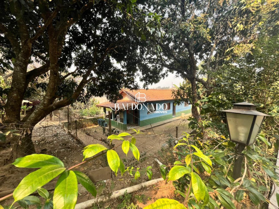 Imagem Imóvel com 3 Quartos à Venda, 2.503 m² em Centro - Vargem