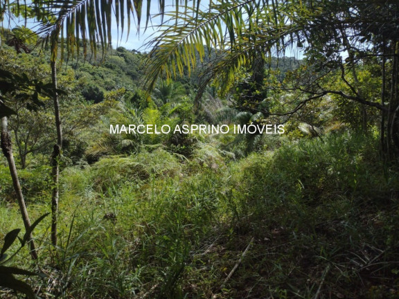 Imagem Imóvel à Venda, 32 m² em Serra Grande - Uruçuca Imagem Imóvel à Venda, 32 m² em Serra Grande - Uruçuca