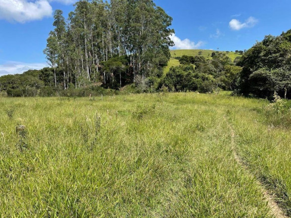 Imagem Chácara com 3 Quartos à Venda, 90 m² em Cunha - Cunha Imagem Chácara com 3 Quartos à Venda, 90 m² em Cunha - Cunha