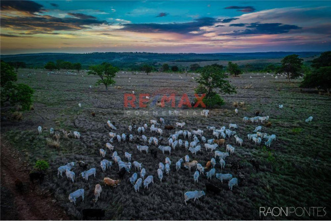 Imagem Fazenda à Venda, 45.340.000 m² em Centro - Figueirão - Figueirão Imagem Fazenda à Venda, 45.340.000 m² em Centro - Figueirão - Figueirão