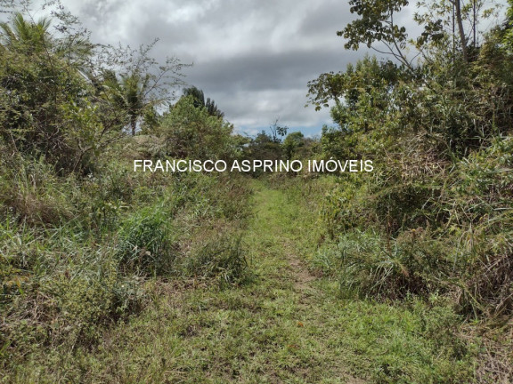 Imagem Imóvel à Venda, 2 m² em Serra Grande - Uruçuca Imagem Imóvel à Venda, 2 m² em Serra Grande - Uruçuca