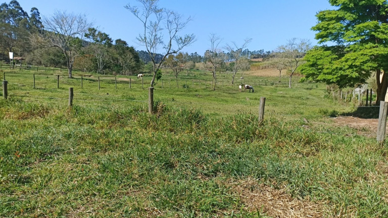 Imagem Chácara com 2 Quartos à Venda, 200 m² em Vila Amelia - Paraibuna