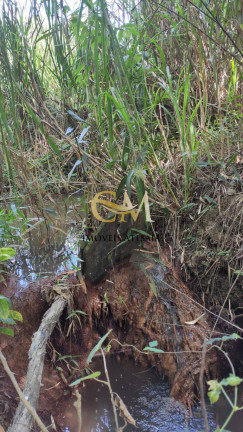 Imagem Terreno em Condomínio à Venda, 4.342 m² em Parque Rio Abaixo - Atibaia Imagem Terreno em Condomínio à Venda, 4.342 m² em Parque Rio Abaixo - Atibaia