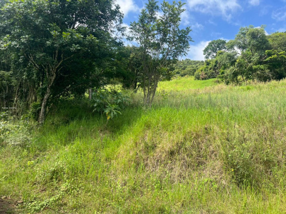 Imagem Terreno à Venda, 56.379 m² em Sc 155 - Itá Imagem Terreno à Venda, 56.379 m² em Sc 155 - Itá