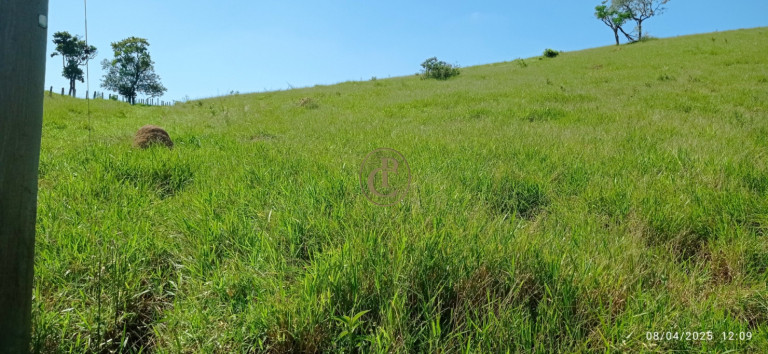 Imagem Chácara à Venda, 63.000 m² em Centro - Santa Branca Imagem Chácara à Venda, 63.000 m² em Centro - Santa Branca