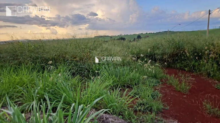 Imagem Terreno à Venda, 300 m² em Recreio Anhangüera - Ribeirão Preto Imagem Terreno à Venda, 300 m² em Recreio Anhangüera - Ribeirão Preto