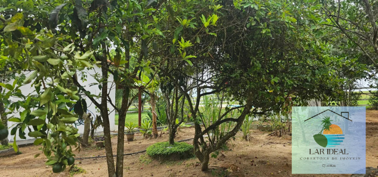 Imagem Chácara com 2 Quartos à Venda, 7.800 m² em Retiro - São Pedro Da Aldeia Imagem Chácara com 2 Quartos à Venda, 7.800 m² em Retiro - São Pedro Da Aldeia