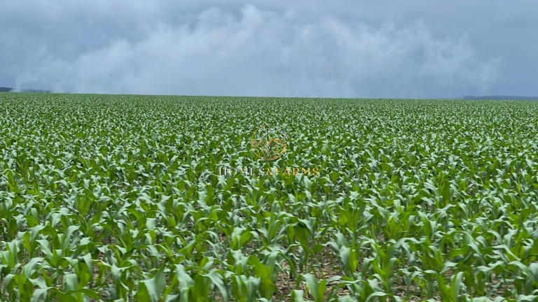 Imagem Imóvel com 3 Quartos à Venda, 7.546 m² em Zona Rural - Nobres Imagem Imóvel com 3 Quartos à Venda, 7.546 m² em Zona Rural - Nobres
