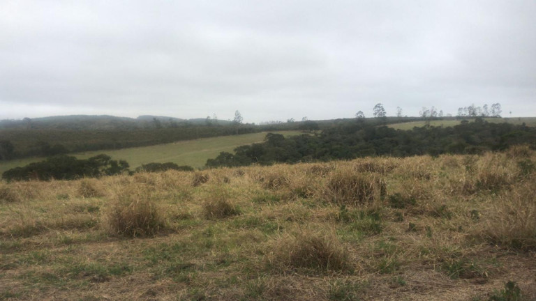 Imagem Fazenda à Venda, 59 m² em Rural - São Miguel Arcanjo