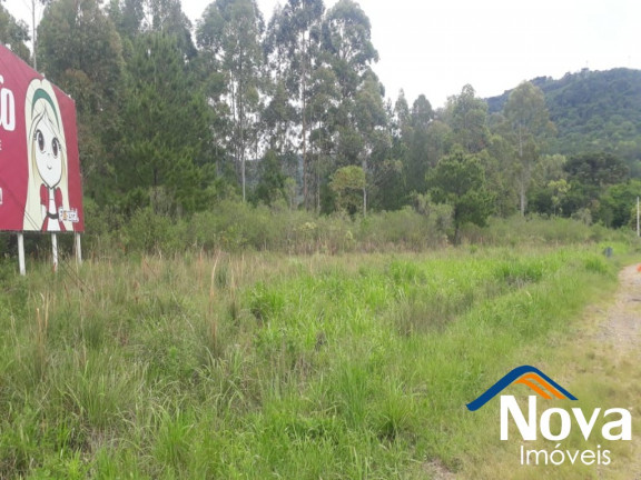 Imagem Imóvel à Venda, 10.211 m² em Linha Araripe - Nova Petrópolis Imagem Imóvel à Venda, 10.211 m² em Linha Araripe - Nova Petrópolis