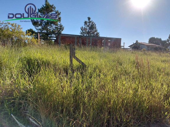 Imagem Casa à Venda, 600 m² em Viamão Imagem Casa à Venda, 600 m² em Viamão