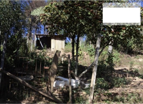 Imagem Chácara com 2 Quartos à Venda, 1.440 m² em Terra Preta - Mairiporã Imagem Chácara com 2 Quartos à Venda, 1.440 m² em Terra Preta - Mairiporã