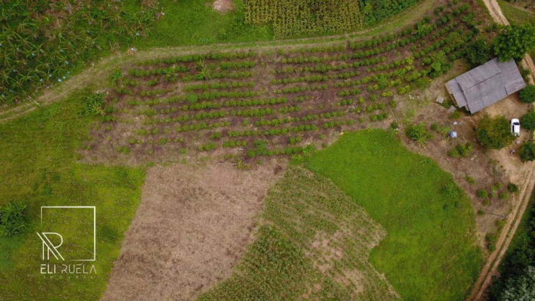 Imagem Chácara com 3 Quartos à Venda, 30.000 m² em Boa Esperança - Marechal Floriano Imagem Chácara com 3 Quartos à Venda, 30.000 m² em Boa Esperança - Marechal Floriano