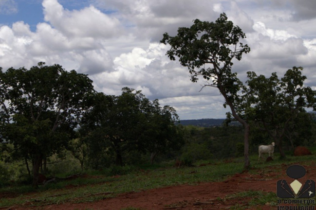Imagem Imóvel à Venda, 20.000 m² em Fazendinhas Guará - Jequitibá Imagem Imóvel à Venda, 20.000 m² em Fazendinhas Guará - Jequitibá