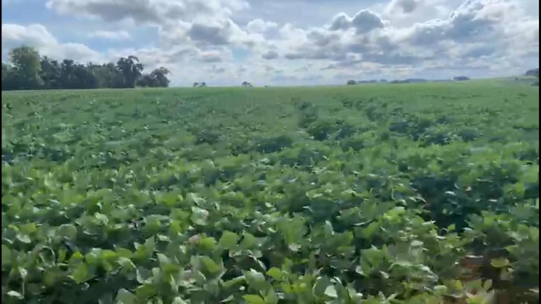 Imagem Chácara à Venda, 38 m² em Rural - Coronel Macedo Imagem Chácara à Venda, 38 m² em Rural - Coronel Macedo
