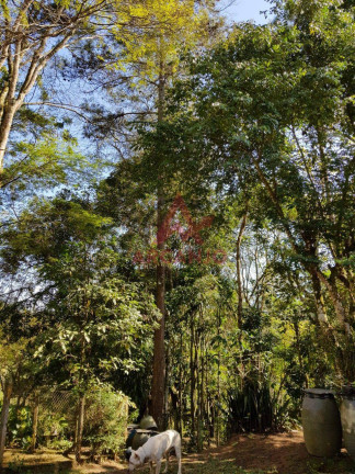 Imagem Chácara com 3 Quartos à Venda, 7.000 m² em Santa Isabel - Santa Isabel Imagem Chácara com 3 Quartos à Venda, 7.000 m² em Santa Isabel - Santa Isabel