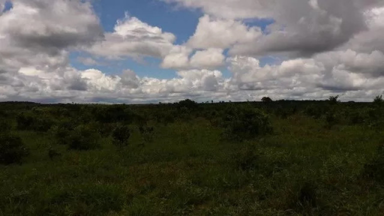 Imagem Fazenda à Venda, 500 m² em Zona Rural - Paranatinga Imagem Fazenda à Venda, 500 m² em Zona Rural - Paranatinga
