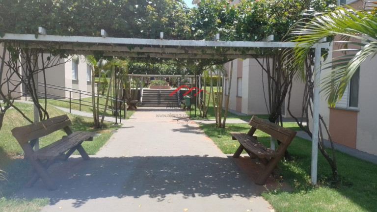 Imagem Apartamento com 2 Quartos à Venda, 49 m² em Jardim Recanto Dos Sonhos - Sumaré Imagem Apartamento com 2 Quartos à Venda, 49 m² em Jardim Recanto Dos Sonhos - Sumaré