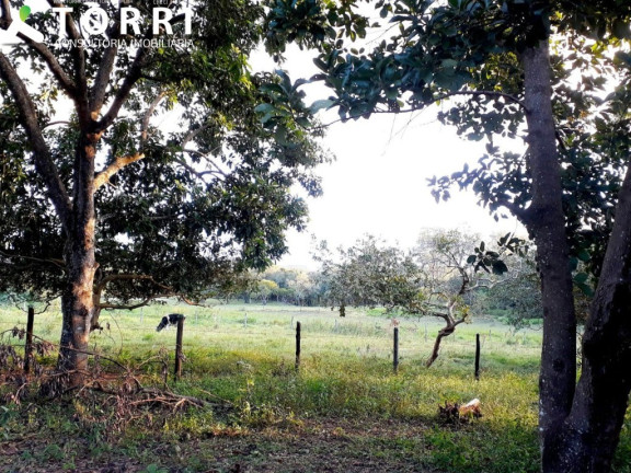 Imagem Imóvel com 3 Quartos à Venda, 23.800 m² em Centro - Boituva Imagem Imóvel com 3 Quartos à Venda, 23.800 m² em Centro - Boituva
