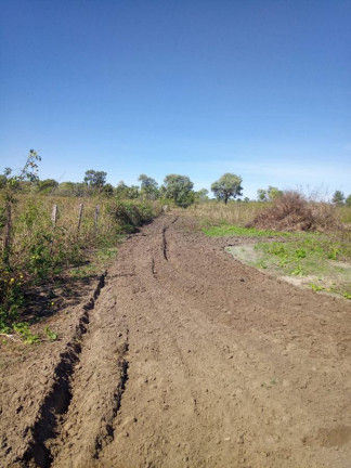 Imagem Fazenda à Venda, 2.050 m² em Rural - Rio Verde De Mato Grosso