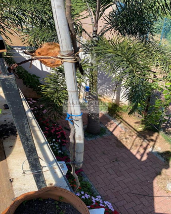 Imagem Casa com 4 Quartos à Venda, 311 m² em Swiss Park - Campinas Imagem Casa com 4 Quartos à Venda, 311 m² em Swiss Park - Campinas