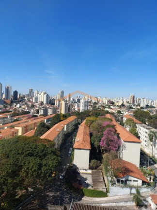 Imagem Apartamento com 2 Quartos à Venda, 50 m² em Vila Nova Cachoeirinha - São Paulo Imagem Apartamento com 2 Quartos à Venda, 50 m² em Vila Nova Cachoeirinha - São Paulo