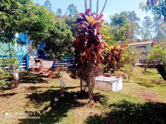 Imagem Chácara com 6 Quartos à Venda, 53 m² em Zona Rural - Cambuí Imagem Chácara com 6 Quartos à Venda, 53 m² em Zona Rural - Cambuí