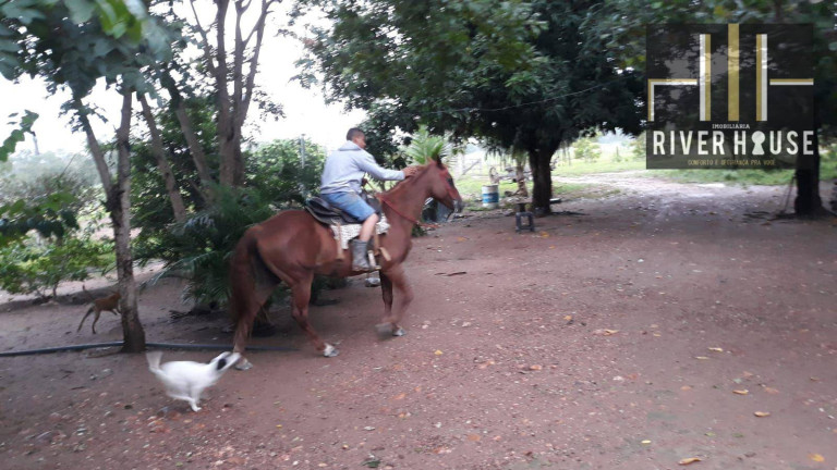 Imagem Chácara com 2 Quartos à Venda, 2.500 m² em Pedra 90 - Cuiabá Imagem Chácara com 2 Quartos à Venda, 2.500 m² em Pedra 90 - Cuiabá