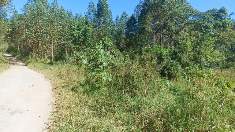 Imagem Chácara com 1 Quarto à Venda, 200 m² em Mirandão - Paraibuna