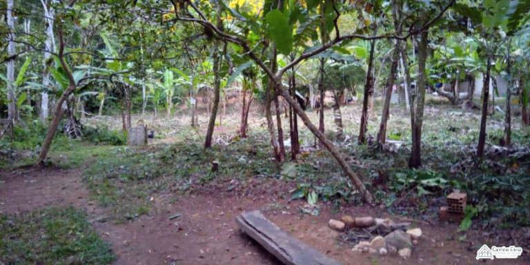 Imagem Terreno à Venda, 4.500 m² em Ubatumirim - Ubatuba