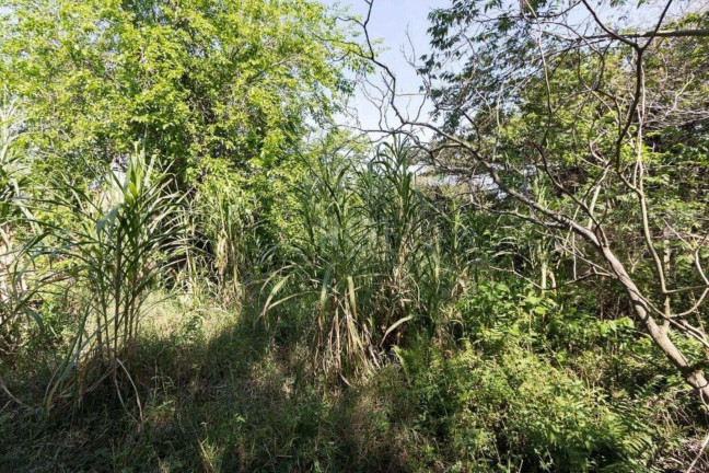 Imagem Terreno à Venda,  em Chapéu Do Sol - Porto Alegre