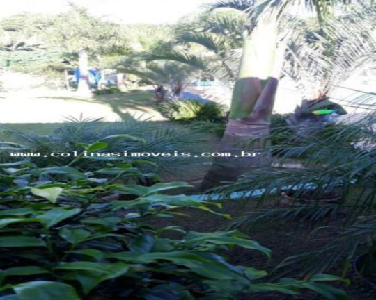 Imagem Imóvel com 3 Quartos à Venda, 1.200 m² em Antes Do Centro - Ibiúna Imagem Imóvel com 3 Quartos à Venda, 1.200 m² em Antes Do Centro - Ibiúna