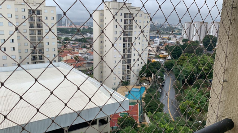 Imagem Apartamento com 3 Quartos à Venda, 68 m² em Vila Dos Remédios - São Paulo Imagem Apartamento com 3 Quartos à Venda, 68 m² em Vila Dos Remédios - São Paulo
