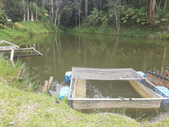 Imagem Chácara com 3 Quartos à Venda, 250 m² em Pouso Alto - Natividade Da Serra Imagem Chácara com 3 Quartos à Venda, 250 m² em Pouso Alto - Natividade Da Serra