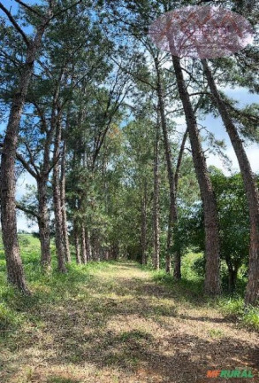 Imagem Terreno à Venda, 87 m² em Capela Do Alto - Capela Do Alto