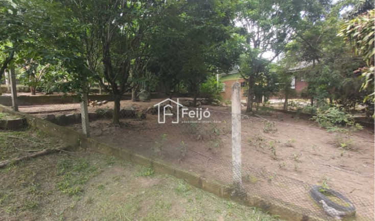 Imagem Fazenda à Venda, 6.000 m² em Lageado - Porto Alegre