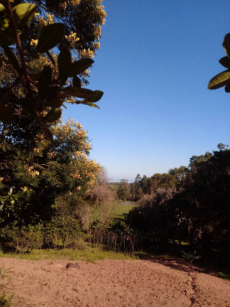 Imagem Casa com 2 Quartos à Venda, 8.000 m² em Itapuã - Viamão Imagem Casa com 2 Quartos à Venda, 8.000 m² em Itapuã - Viamão
