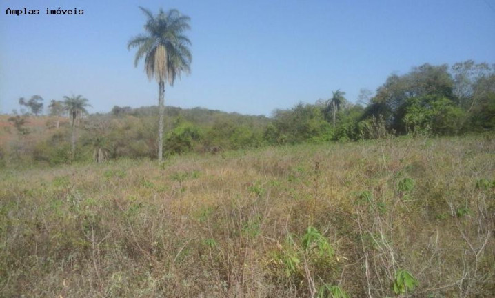 Imagem Terreno à Venda, 25.000 m² em Brejos Estrada De Serra Azul - Mateus Leme