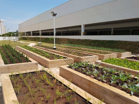 Imagem Apartamento com 2 Quartos à Venda, 72 m² em Jardim Piratininga - Sorocaba Imagem Apartamento com 2 Quartos à Venda, 72 m² em Jardim Piratininga - Sorocaba