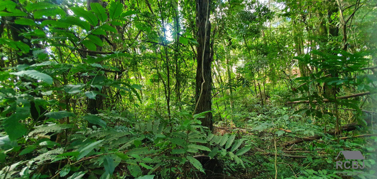 Imagem Terreno à Venda, 1.000 m² em Retiro Do Chalé - Brumadinho Imagem Terreno à Venda, 1.000 m² em Retiro Do Chalé - Brumadinho